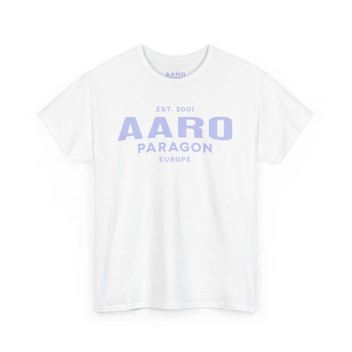 Light Blue Aaro Graphic Tee